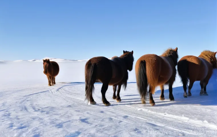 몽골 대초원의 사계절 - **Prompt:** A breathtaking wide-angle shot of the Mongolian steppe in the depths of winter. The land...